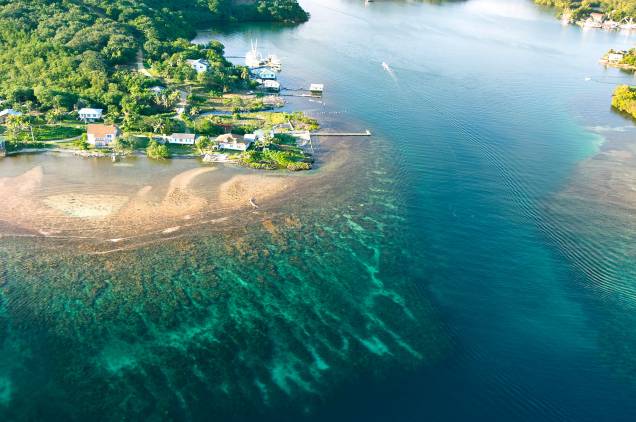 <strong>3. Roatan - Honduras </strong> Um dos points mais tropicais de Honduras é a ilha de Roatan. Os recifes, praticamente intocados, são um presente para os mergulhadores e amadores <strong>3. Roatan - Honduras </strong> Um dos points mais tropicais de Honduras é a ilha de Roatan. Os recifes, praticamente intocados, são um presente para os mergulhadores e amadores