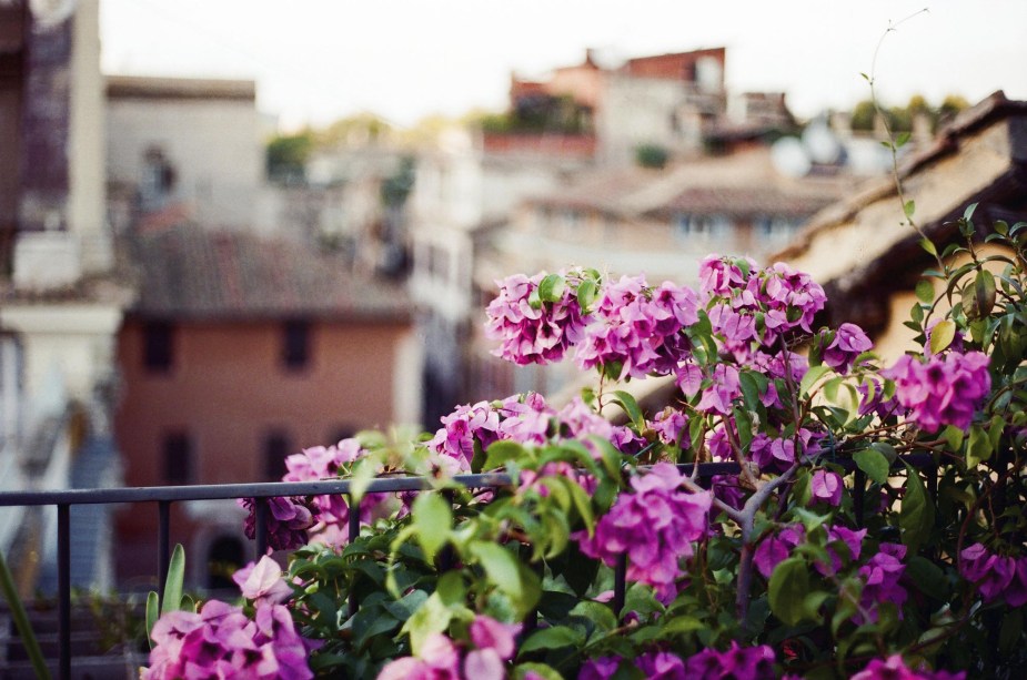 O Trastevere guarda o charme dos palacete coloridos, com paredes feitas de terra batida