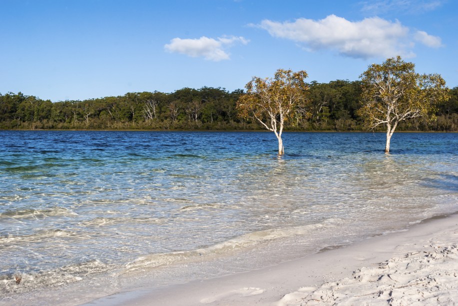 <strong>Fraser Island </strong>        A maior ilha de areia do mundo tem muito mais beleza além da areia. Mais do que as praias, lagos e riachos cristalinos no interior da ilha, rodeados por árvores bem altas, dão o tom ao lugar. É o caso do lago Mackenzie (foto), um entre mais de uma centena de outros lagos cristalinos, que fazem a alegria dos turistas