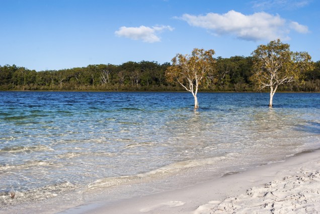 <strong>Fraser Island </strong>        A maior ilha de areia do mundo tem muito mais beleza além da areia. Mais do que as praias, lagos e riachos cristalinos no interior da ilha, rodeados por árvores bem altas, dão o tom ao lugar. É o caso do lago Mackenzie (foto), um entre mais de uma centena de outros lagos cristalinos, que fazem a alegria dos turistas