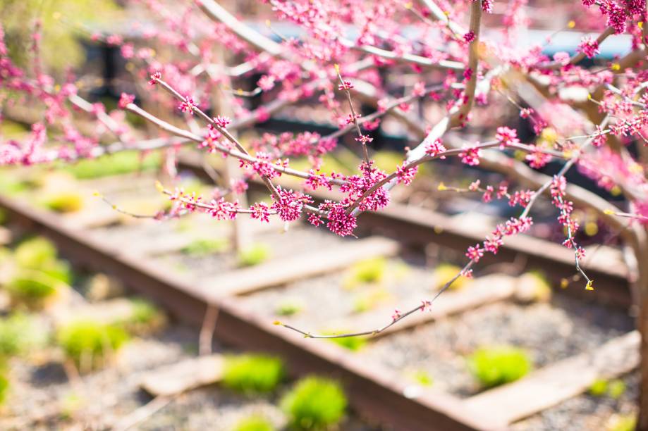 Detalhe dos trilhos do trem que passava onde hoje é o High Line Park, em <a href="https://viajeaqui.abril.com.br/cidades/estados-unidos-nova-york" rel="Nova York">Nova York</a>