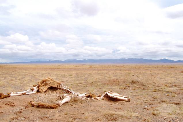 <strong>10. Deserto de Gobi, na Mongólia</strong>                                Se o deserto de Gobi, na Mongólia, fosse cenário de Mad Max, ele seria o Vale Verde - uma terra "fértil" para os padrões pós-apocalípticos do filme. Só que, para os padrões atuais do nosso planeta, Gobi é, ainda, um lugar árido: o imenso deserto tem uma reduzidíssima densidade populacional, restrita aos nômades que vivem em suas tradicionais tendas circulares, as yurts