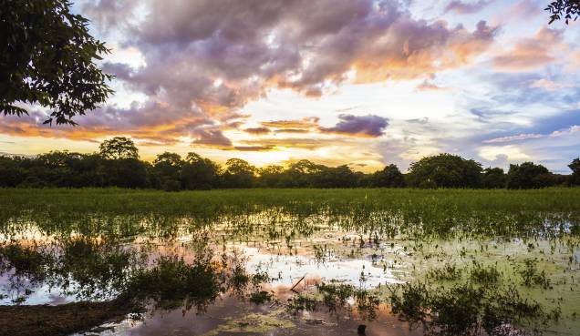 <a href="http://viajeaqui.abril.com.br/cidades/br-mt-pantanal" rel="Pantanal (MT) " target="_blank"><strong>Pantanal (MT) </strong></a>A região é uma das maiores planícies inundáveis do mundo. As opções de passeios terrestres são tão variadas quanto os aquáticos, que se transformam completamente de acordo com a época do ano, seca ou cheia. Você pode fazer os passeios em propriedades particulares ou conhecer em um barco o Parque Nacional do Pantanal Mato-Grossense<a href="http://www.booking.com/city/br/pocone.pt-br.html?aid=332455&label=viagemabril-voltapelobrasil" rel="Veja hotéis em Poconé no booking.com" target="_blank"><em>Veja hotéis em Poconé no booking.com</em></a>
