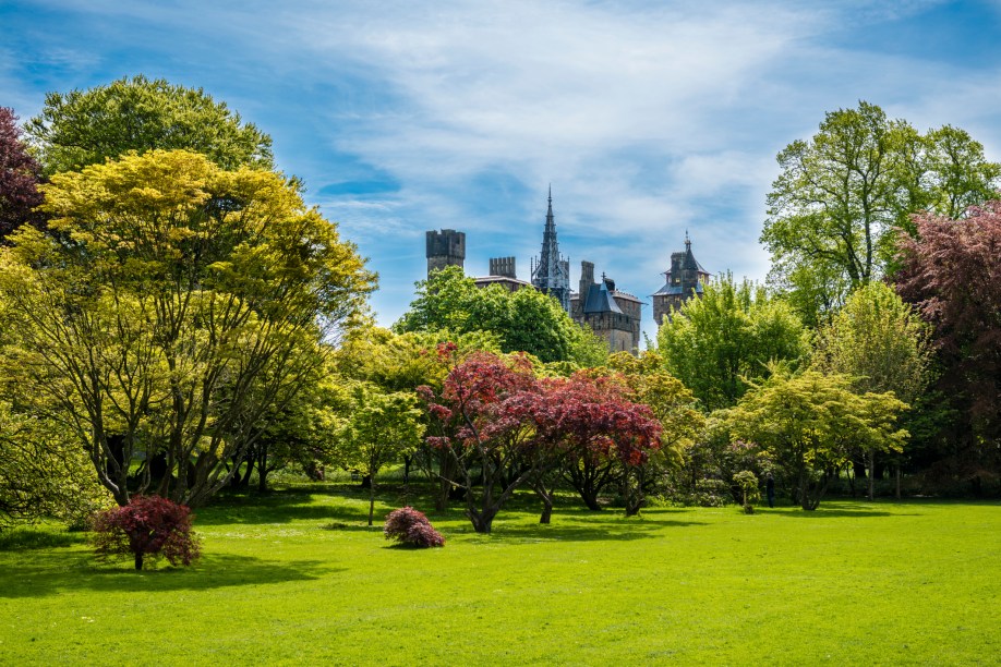 Com seus lindos parques e jardins, Cardiff é considerada uma das cidades mais verdes do Reino Unido. No Bute Park, essa fama fica ainda mais nítida: são diversas espécies de árvores, plantas e flores espalhadas em uma área de 56 hectares