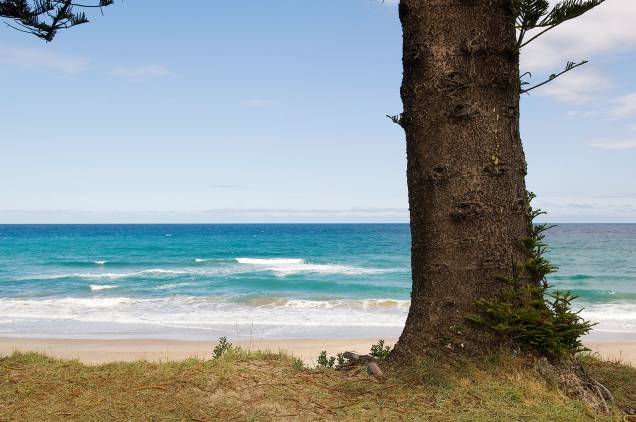 <em><strong>Gisborne</strong></em> - Localizada a 525 quilômetros de Wellington, a cidade é conhecida como uma das primeiras do planeta a receber a luz do sol e portanto a comemorar o Reveillon. As praias de areia branca banhadas pelo oceano Pacífico atraem turistas de diferentes partes do país, mas é em meados de dezembro que Gisborne começa a receber um número maior de turistas interessados em iniciar o ano no local