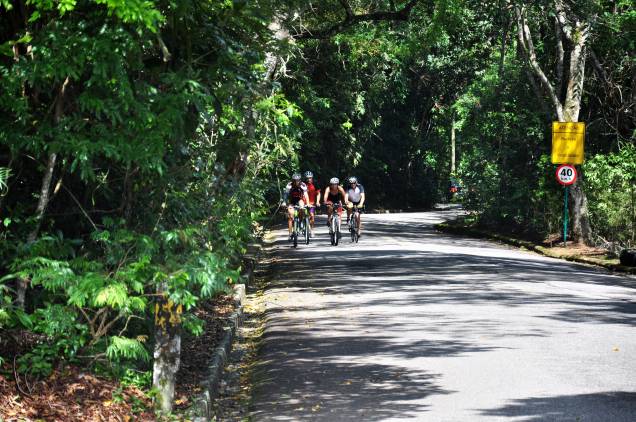 Com largas pistas asfaltadas, o <a href="http://viajeaqui.abril.com.br/estabelecimentos/br-rj-rio-de-janeiro-atracao-parque-nacional-da-tijuca" rel="Parque Nacional da Tijuca" target="_blank">Parque Nacional da Tijuca</a> também atrai praticantes de caminhada e corrida