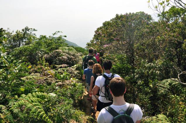 O <a href="http://viajeaqui.abril.com.br/estabelecimentos/br-rj-rio-de-janeiro-atracao-parque-nacional-da-tijuca" rel="Parque Nacional da Tijuca" target="_blank">Parque Nacional da Tijuca</a> oferece cerca de 200 quilômetros de trilhas nos mais diversos graus de dificuldade