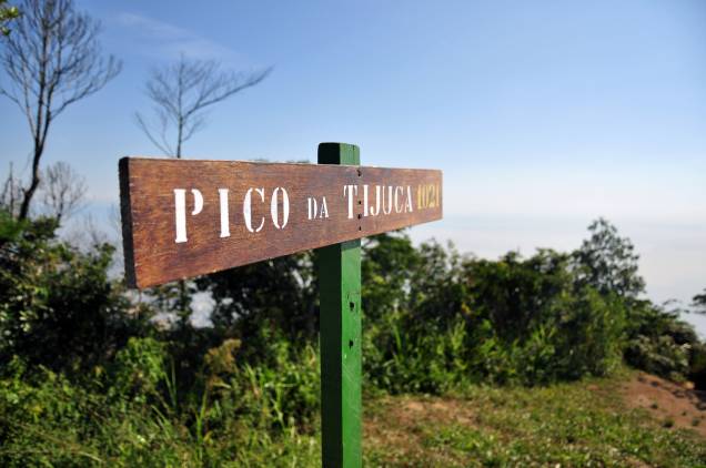 É preciso fazer uma escalada para chegar ao topo do Pico da Tijuca, o mais alto do Parque, com 1 022 metros de altitude. Lá do alto, é possível observar a cidade em 360º