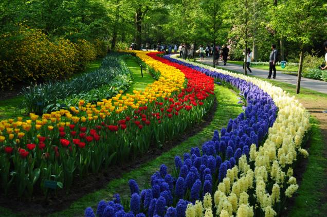 <strong>De Keukenhof, Lisse, Holanda</strong>Provavelmente o parque de flores mais bonito do mundo. Localizado a pouco mais de meia hora do centro de <a href="http://viajeaqui.abril.com.br/cidades/holanda-amsterda" rel="Amsterdã" target="_blank">Amsterdã</a>, o <a href="http://viajeaqui.abril.com.br/estabelecimentos/holanda-amsterda-atracao-keukenhof-em-lisse" rel="De Keunkenhof " target="_blank">De Keunkenhof </a>encontra-se no coração da <strong>Rijnland</strong>, uma das maiores áreas de cultivo de tulipas do planeta. Seus bem cuidados jardins e alamedas estão repletos de espécies de todo o mundo e o parque ainda conta com estufas e viveiros encantadores.Aberto de 22/mar a 20/mai, 8h/19h30 