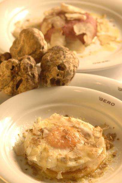 Torrada com ovo e trufa branca do restaurante Gero, em Ipanema, no Rio de Janeiro