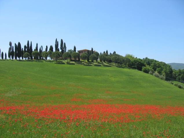 As suaves e coloridas colinas da <a href="http://viajeaqui.abril.com.br/cidades/italia-toscana" rel="Toscana">Toscana</a> sob o sol da primavera