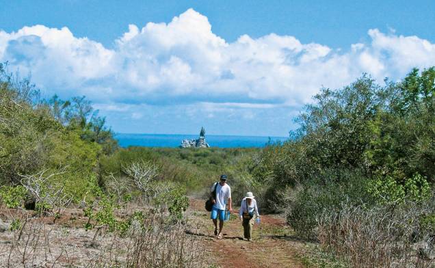 <strong>Trekking</strong>Há várias caminhadas que podem ser feitas pela ilha;uma das mais procuradas é o <a href="https://viajeaqui.abril.com.br/estabelecimentos/br-pe-fernando-de-noronha-atracao-trekking-ate-a-praia-da-atalaia">trekking até a Praia do Atalaia</a>. O passeio leva cinco horas, com paradas por piscinas naturais e mirantes - escolha um calçado confortável e antiderrapante. No final, a recompensa é nada menos que a piscina natural do Atalaia. <strong>Trekking</strong>Há várias caminhadas que podem ser feitas pela ilha;uma das mais procuradas é o <a href="https://viajeaqui.abril.com.br/estabelecimentos/br-pe-fernando-de-noronha-atracao-trekking-ate-a-praia-da-atalaia">trekking até a Praia do Atalaia</a>. O passeio leva cinco horas, com paradas por piscinas naturais e mirantes - escolha um calçado confortável e antiderrapante. No final, a recompensa é nada menos que a piscina natural do Atalaia.