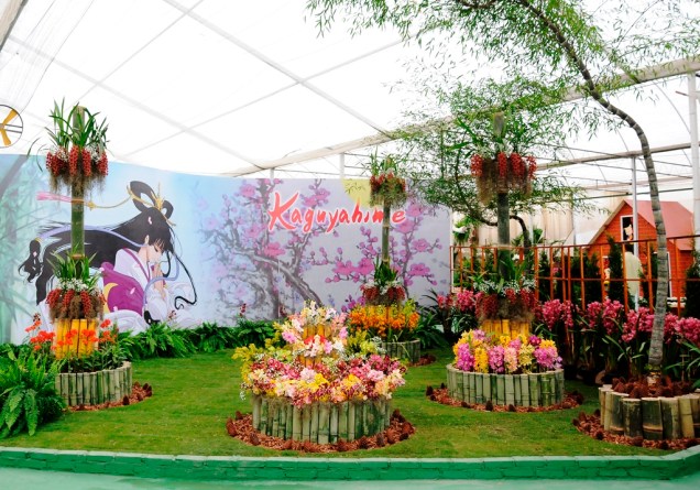 Exposição de flores na Aflord 2013