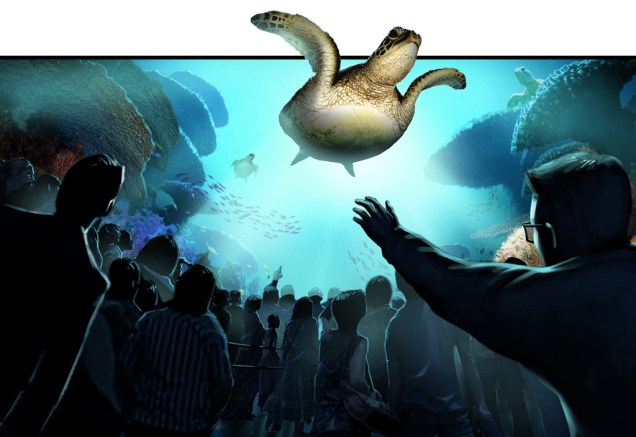 <strong>TurtleTrek</strong>, nova atração no SeaWorld: a jornada das tartarugas em 3D