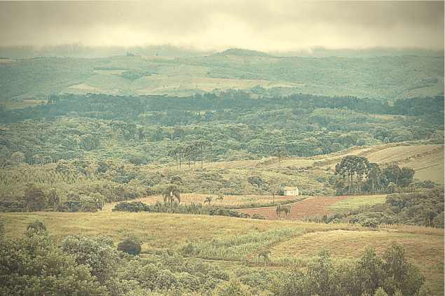 <strong>7. Prudentópolis (PR)</strong>                                        Os ucranianos que se estabeleceram em Prudentópolis vieram da região da Galícia e trouxeram com eles a cultura do leste europeu; as casas das fazendas da região também são inspiradas na arquitetura de lá