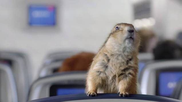 <strong>Dramatic Chipmunk</strong> Bastou um esquilo se virar rapidamente e fixar seu olhar na câmera para ele ser um sucesso mundial. A primeira aparição do vídeo do bichinho foi em um programa japonês. Em 2007, a cena foi publicada no <a href="https://www.youtube.com/watch?v=a1Y73sPHKxw " rel="Youtube" target="_blank">Youtube</a> e ganhou o mundo <strong>Dramatic Chipmunk</strong> Bastou um esquilo se virar rapidamente e fixar seu olhar na câmera para ele ser um sucesso mundial. A primeira aparição do vídeo do bichinho foi em um programa japonês. Em 2007, a cena foi publicada no <a href="https://www.youtube.com/watch?v=a1Y73sPHKxw " rel="Youtube" target="_blank">Youtube</a> e ganhou o mundo
