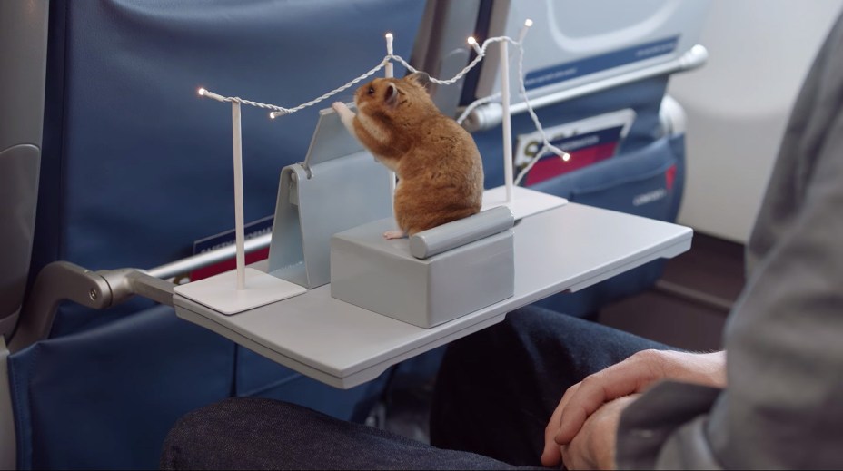 10 melhors vídeos de hamster engraçados no