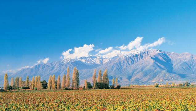 Paisagem andina nos limites da <strong>Concha y Toro</strong>, no Vale de Maipo Paisagem andina nos limites da <strong>Concha y Toro</strong>, no Vale de Maipo