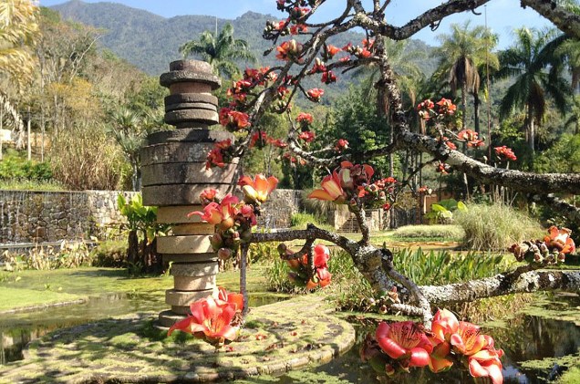 Os terreiros, onde os grãos de café secavam ao sol, foi transformado pelo paisagista Roberto Burle Marx em um belo jardim, com espelhos d’água e esculturas de pedra.