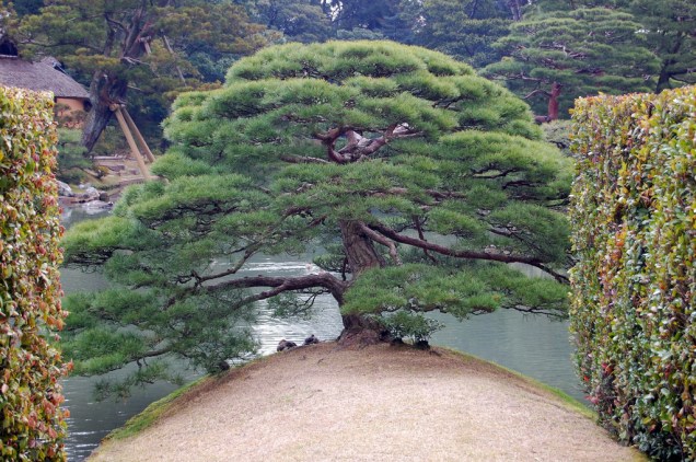 Jardim da vila imperial Katsura Rikyu