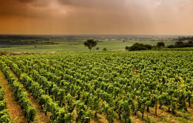 <strong>Borgonha, <a href="http://viajeaqui.abril.com.br/paises/franca" target="_self">França</a></strong>A história conta que os povos celtas já produziam vinhos na região quando os romanos a invadiram, por volta do século 2 d.C. Não à toa: a Borgonha é um dos lugares mais tradicionais na produção e no consumo da bebida, dividindo as atenções com os vinhos de Bordeaux. Pequenas propriedades familiares caracterizam os cenários locais, que produzem vinhos brancos em larga escala<em><a href="http://www.booking.com/region/fr/route-des-vins-de-bourgone.pt-br.html?aid=332455&label=viagemabril-vinicolas-da-europa" target="_blank" rel="noopener">Veja preços de hotéis em Borgonha no Booking.com</a></em>