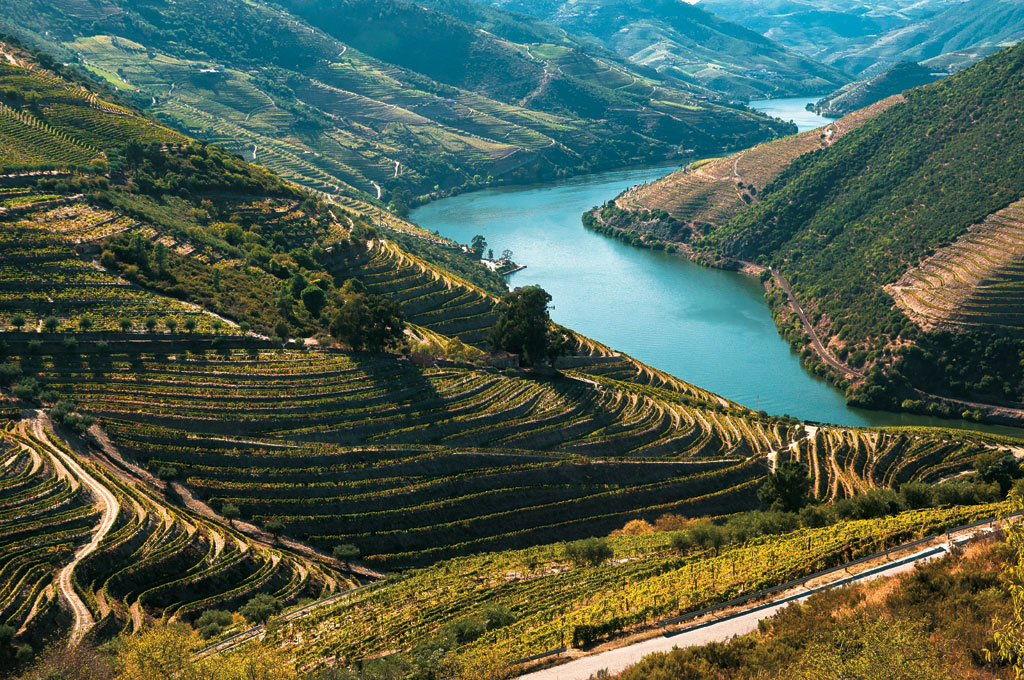Os vinhedos qye ornam o sinuoso Douro, em Portugal