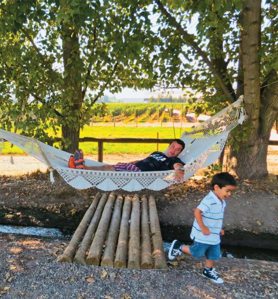 Paz nas parreiras da <strong>Viu Manent</strong> Paz nas parreiras da <strong>Viu Manent</strong>