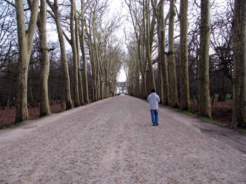 Caminho para o <a href="https://viajeaqui.abril.com.br/estabelecimentos/franca-vale-do-loire-atracao-chateau-de-chenonceau" rel="Château de Chenonceau" target="_self">Château de Chenonceau</a>, <a href="https://viajeaqui.abril.com.br/cidades/franca-vale-do-loire" rel="Vale do Loire" target="_self">Vale do Loire</a>, <a href="https://viajeaqui.abril.com.br/paises/franca" rel="França" target="_self">França</a> Caminho para o <a href="https://viajeaqui.abril.com.br/estabelecimentos/franca-vale-do-loire-atracao-chateau-de-chenonceau" rel="Château de Chenonceau" target="_self">Château de Chenonceau</a>, <a href="https://viajeaqui.abril.com.br/cidades/franca-vale-do-loire" rel="Vale do Loire" target="_self">Vale do Loire</a>, <a href="https://viajeaqui.abril.com.br/paises/franca" rel="França" target="_self">França</a>