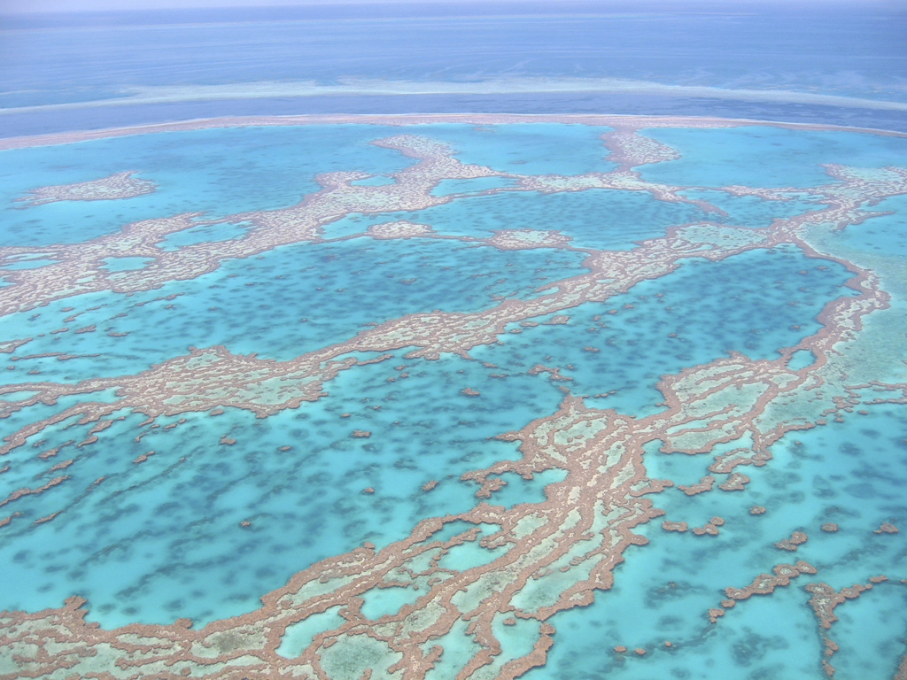 A Grande Barreira de Corais, na Austrália e Papua Nova Guiné, é a maior do mundo. Com uma área de 344 mil quilômetros quadrados, ela abriga 3.000 recifes individuas e 900 ilhas. A diversidade nos recifes é imensa: peixes, moluscos, algas e tartarugas