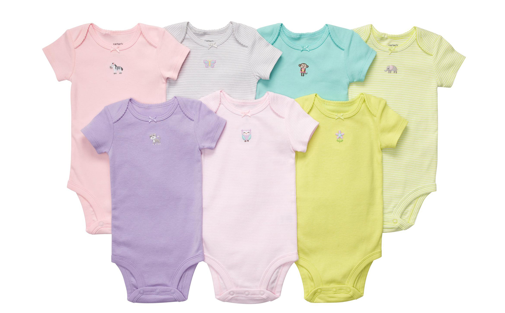 body-7-2-carters.jpeg