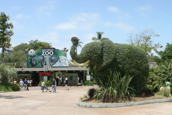 san_diego_zoo_entrance_elephant.jpg