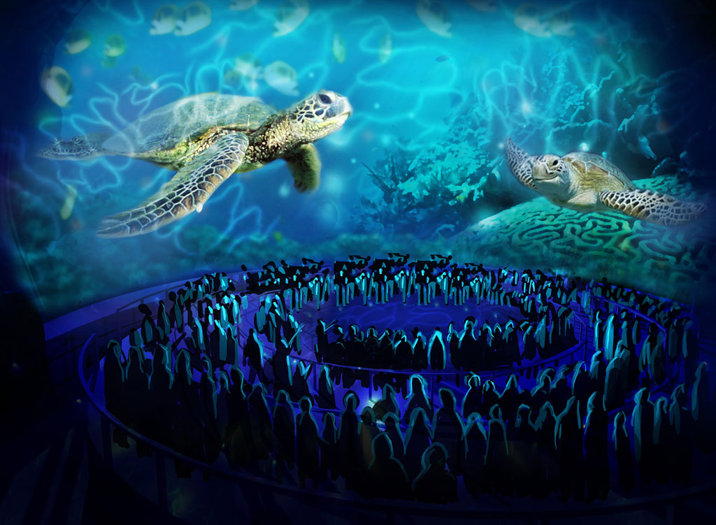 TurtleTrek, nova atração no SeaWorld