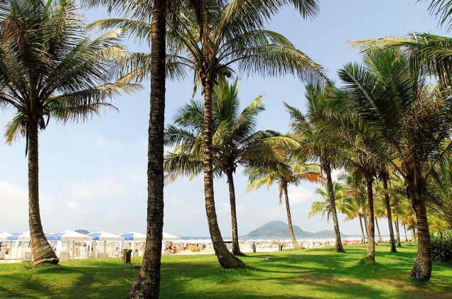 Jardins com coqueiros beiram a praia de Riviera de São Lourenço