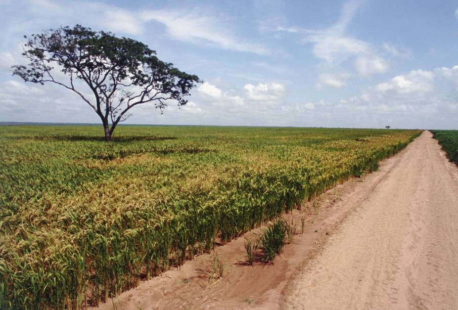 A cidade de Balsas tem boa estrutura de serviços para quem trafega no trecho maranhense da Transamazônica (a BR-230)