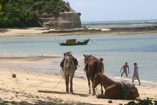 Cavalos na Praia do Espelho, distrito de Porto Seguro