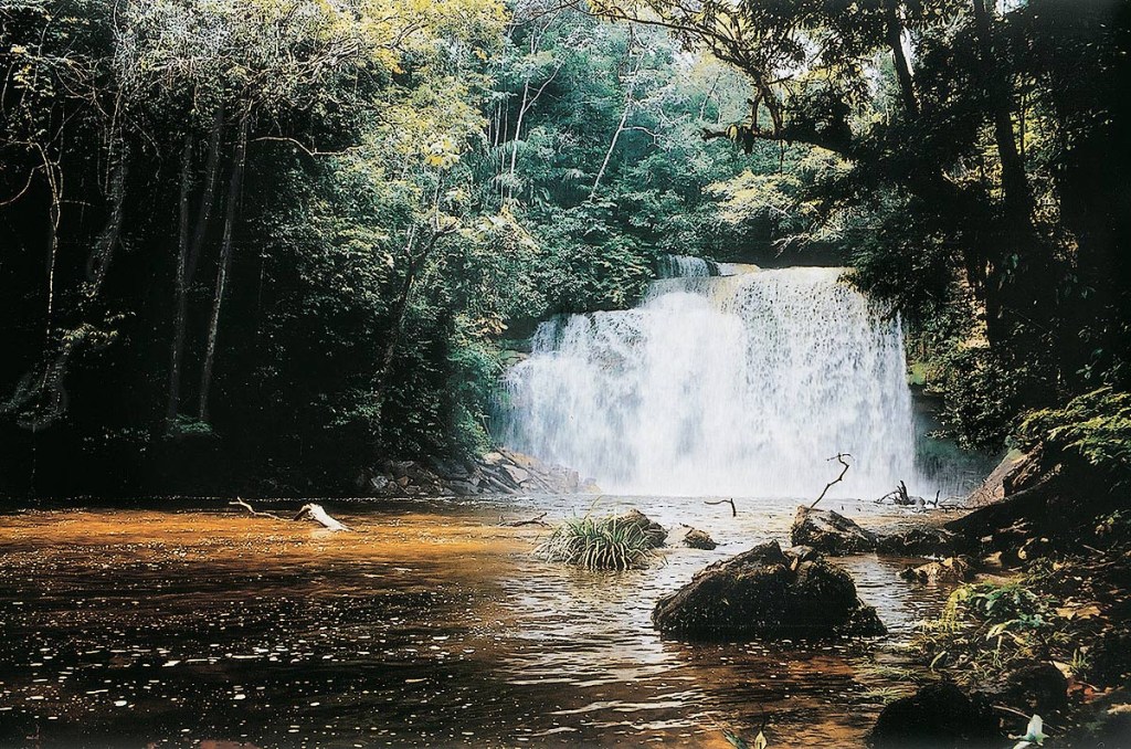Cachoeiras de Presidente Figueiredo (AM)