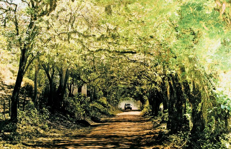 Penedo (RJ) tem natureza exuberante e é ideal para famílias que queiram ter mais contato com o verde