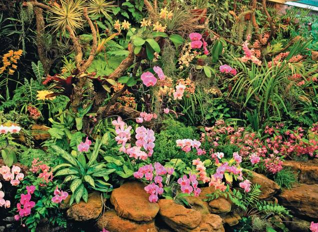 O Jardim Botânico abriga uma grande variedade de plantas do continente africano, asiático e americano O Jardim Botânico abriga uma grande variedade de plantas do continente africano, asiático e americano
