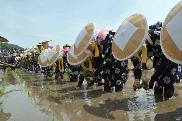 O <strong>Mibu no Hana Taue</strong> é um ritual de replantio do arroz em Hiroshima, no <strong>Japão</strong>, para que a colheita seja abundante. No primeiro domingo de junho, os camponeses se reúnem e cantam acompanhados de tambores, flautas e gongos
