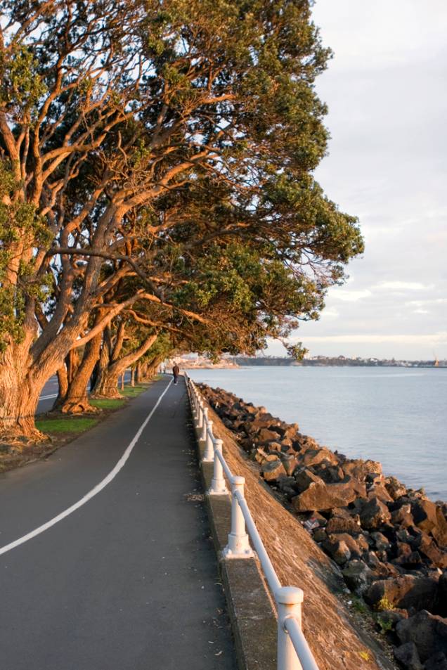 De carro ou de bicicleta vale percorrer a Tamaki Drive, uma avenida costeira que atravessa a baía de Hudson, em Auckland