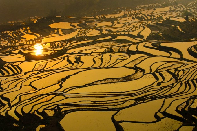 Terraços de arroz em Longsheng, China