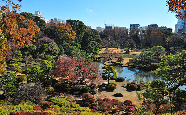 Jardim Rikugien, Tóquio