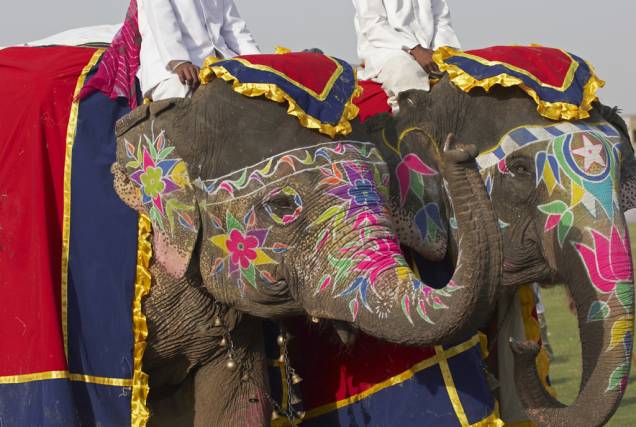 Elefantes utilizados para subir ao alto do Forte Amber. Suas muralhas e palácios são considerados patrimônios da humanidade pela Unesco