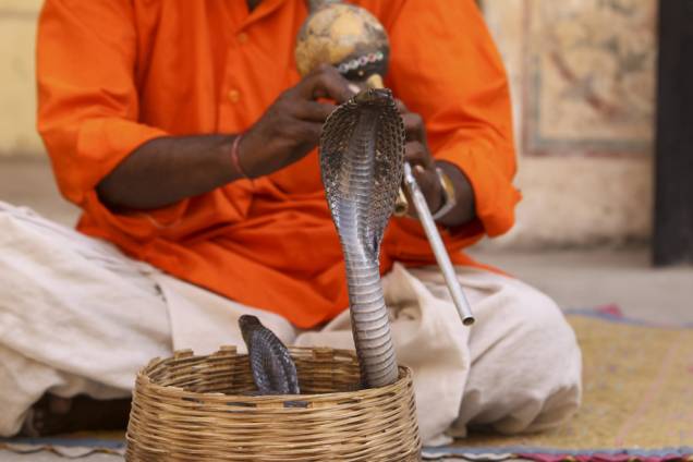 Encantador de serpentes em Jaipur, uma antiga tradição hoje totalmente voltada para turistas