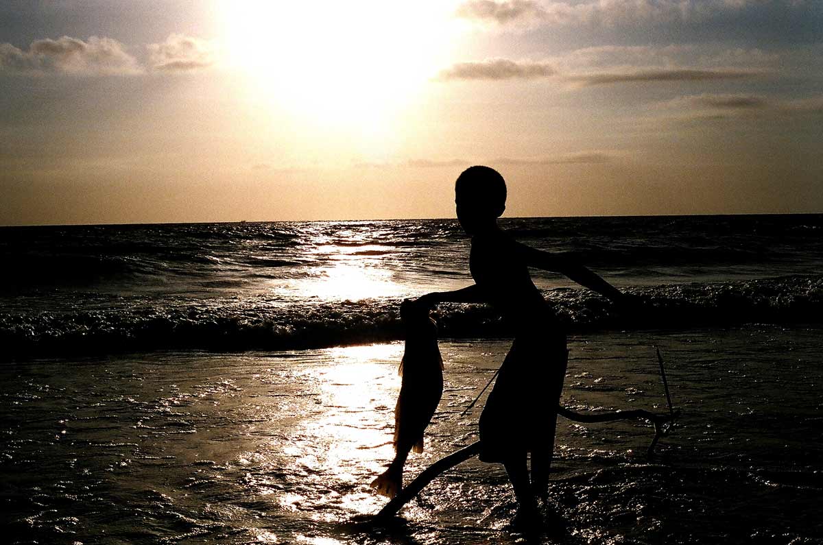 Ilha de Marajó - Pará