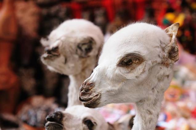 No centro de La Paz, está o Mercado das Bruxas - o local vende objetos místicos para a população indígena da cidade, como fetos de lhamas (foto)