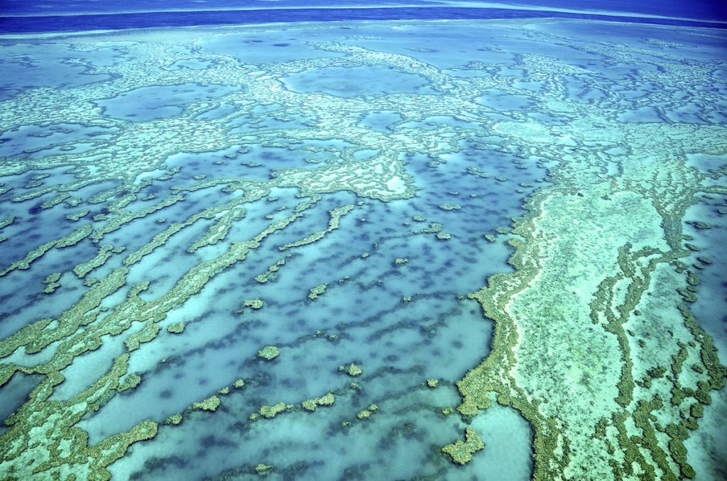 Vista aérea Grande Barreira de Corais da Austrália