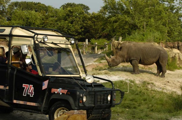 Jipe Land Rover durante safári do Rhino Rally, atração do parque Busch Gardens, em Tampa Bay