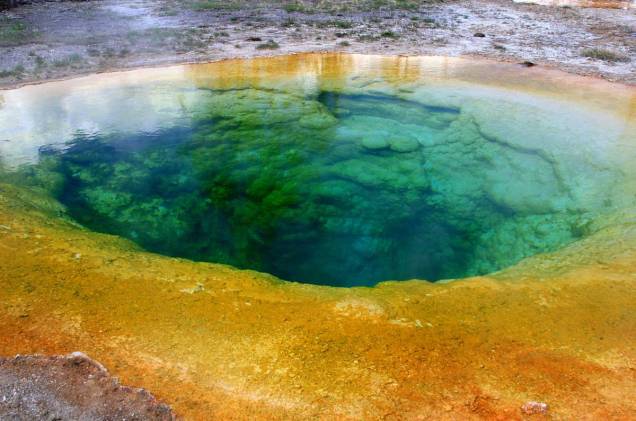 Morning Glory Pool, Parque Nacional de Yellowstone Morning Glory Pool, Parque Nacional de Yellowstone