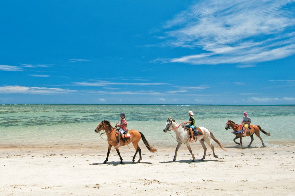 Cavalos na direção de Moreré, ilha de Boipeba, Bahia